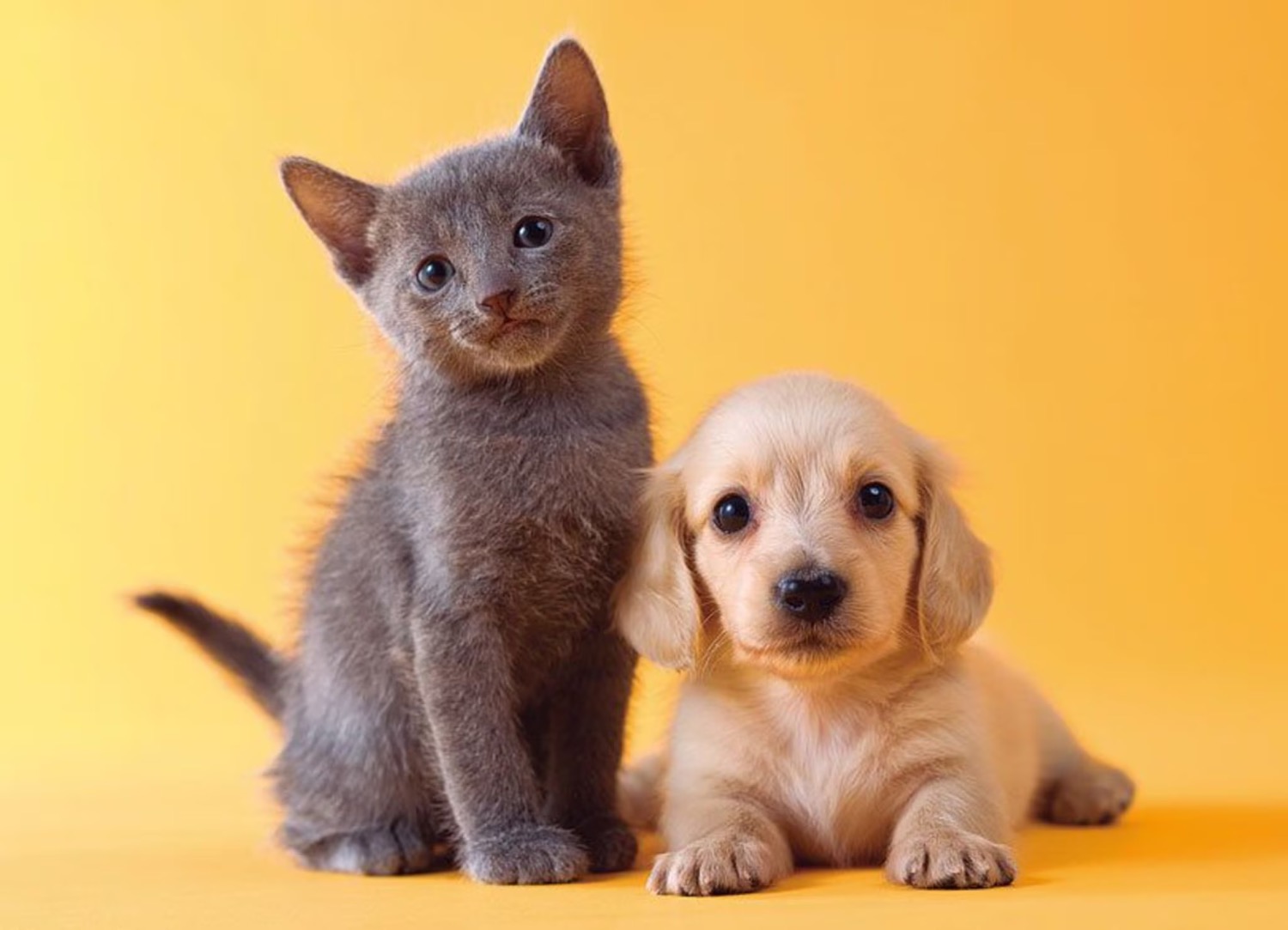 [MAX2] 科学が賢明なペット保護を支える