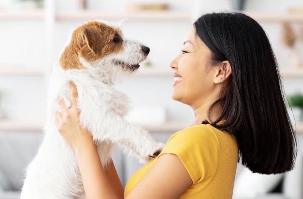 [MAX2] なぜ特定の犬種は他より長生きするのか？そして私たちはいかにして寿命を延ばせるのか？
