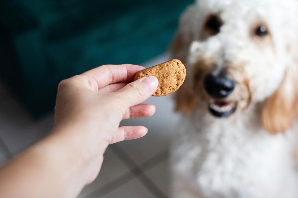 [MAX2] オメガ3とオメガ6は、ペットのボウルに秘められた長寿の鍵です。